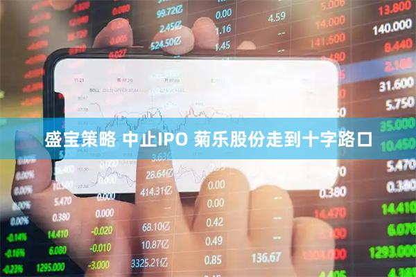 盛宝策略 中止IPO 菊乐股份走到十字路口