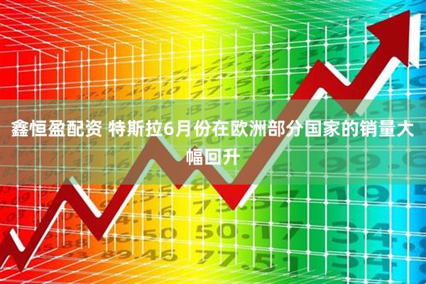 鑫恒盈配资 特斯拉6月份在欧洲部分国家的销量大幅回升
